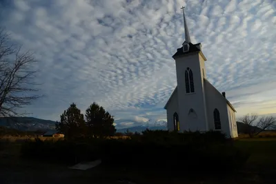 DSC_3114 (Large).JPG